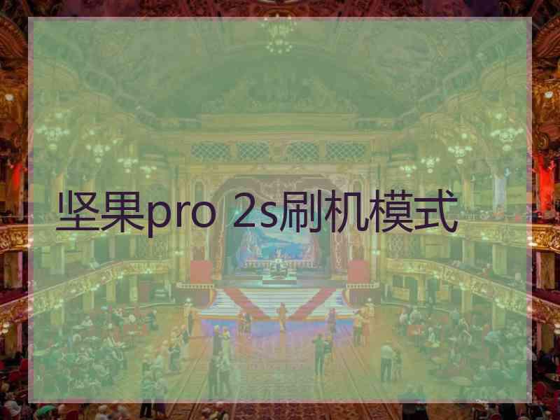 坚果pro 2s刷机模式