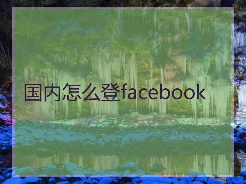 国内怎么登facebook