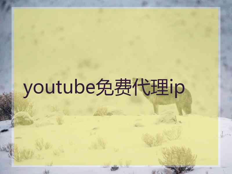 youtube免费代理ip