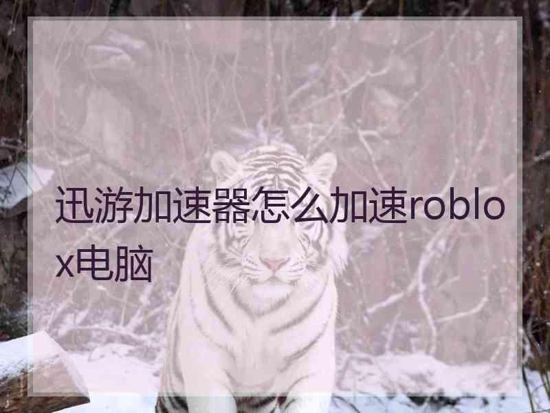 迅游加速器怎么加速roblox电脑