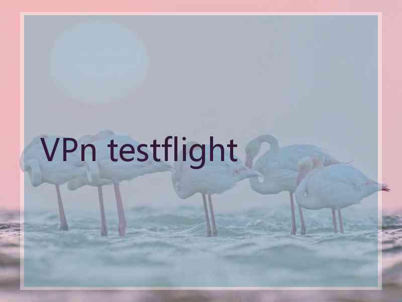 VPn testflight