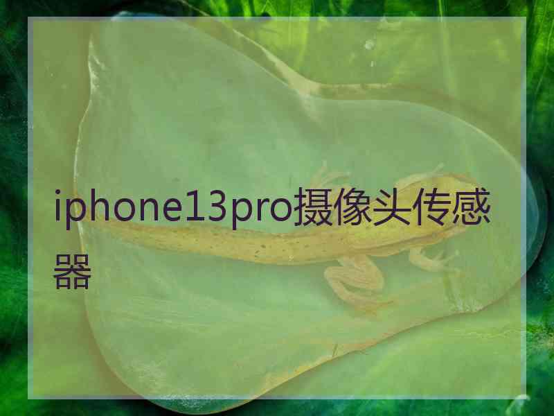 iphone13pro摄像头传感器