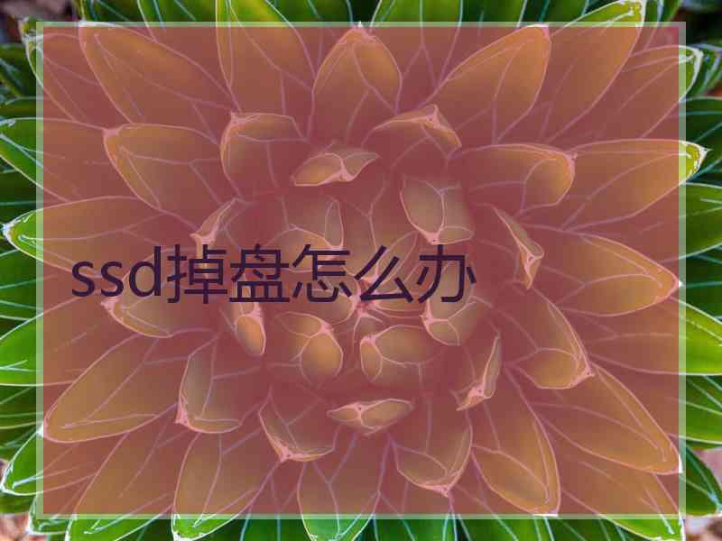 ssd掉盘怎么办