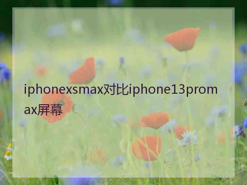 iphonexsmax对比iphone13promax屏幕