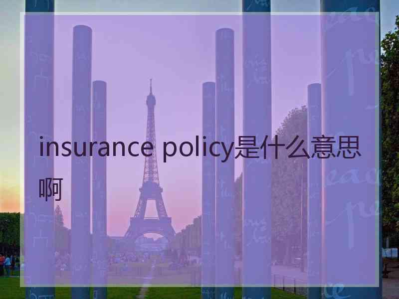 insurance policy是什么意思啊