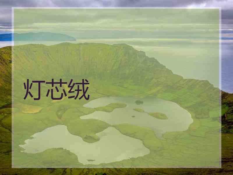 灯芯绒