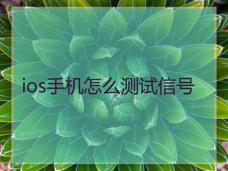 ios手机怎么测试信号