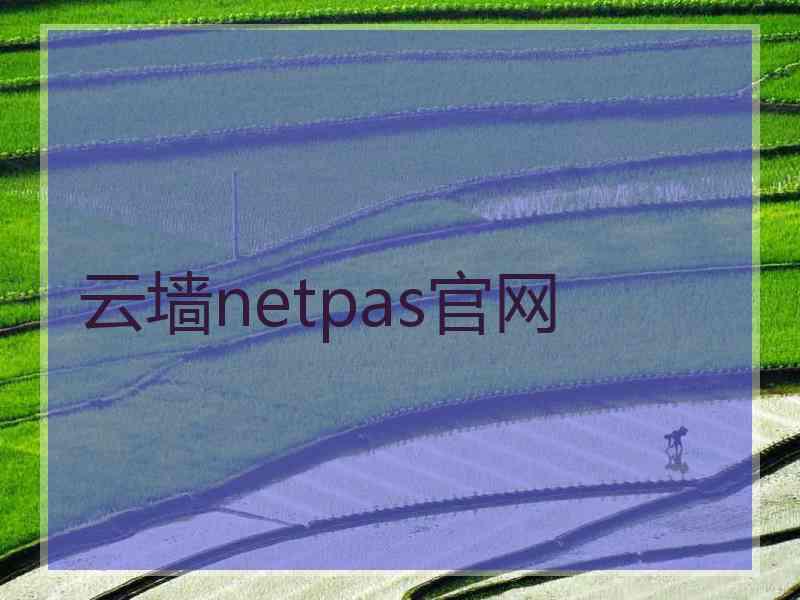 云墙netpas官网