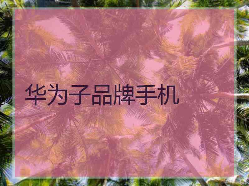 华为子品牌手机