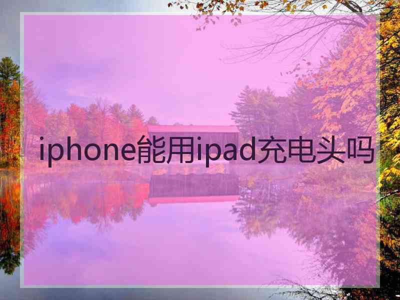 iphone能用ipad充电头吗