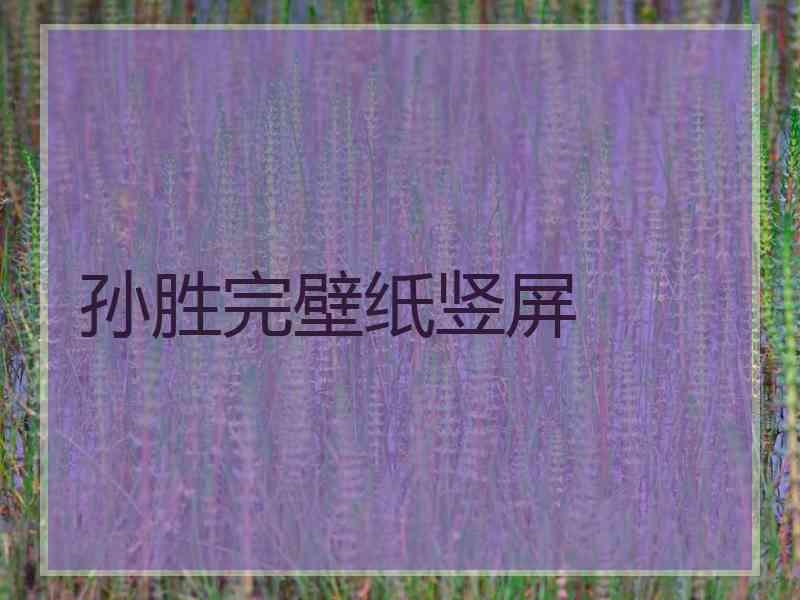 孙胜完壁纸竖屏