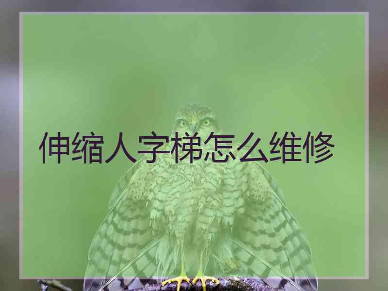 伸缩人字梯怎么维修