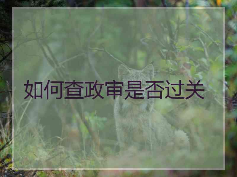 如何查政审是否过关