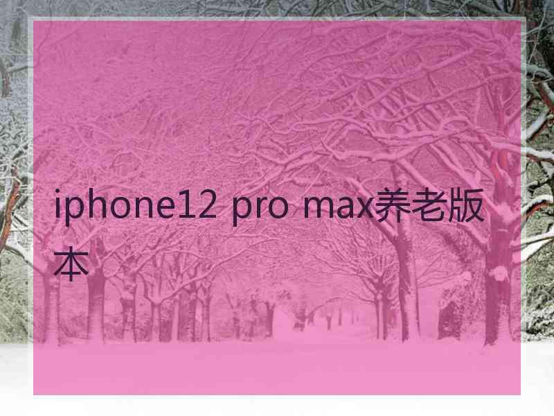 iphone12 pro max养老版本