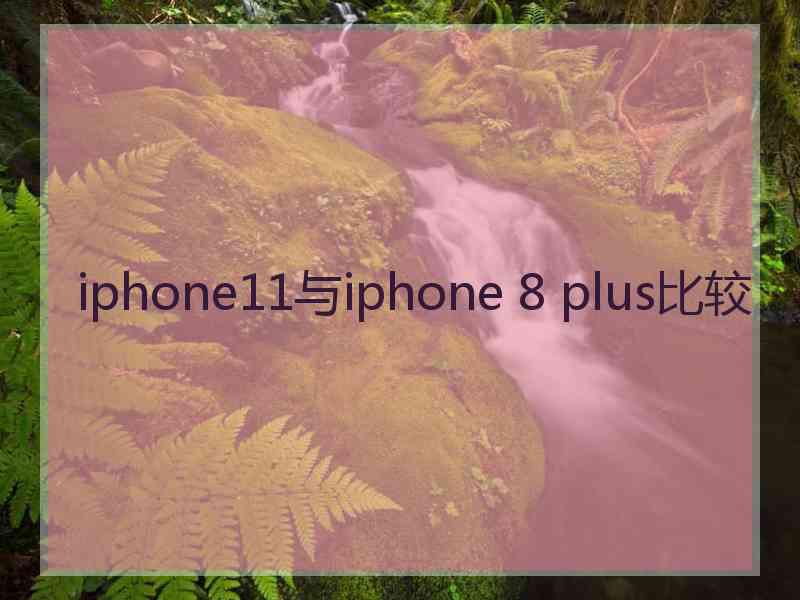 iphone11与iphone 8 plus比较