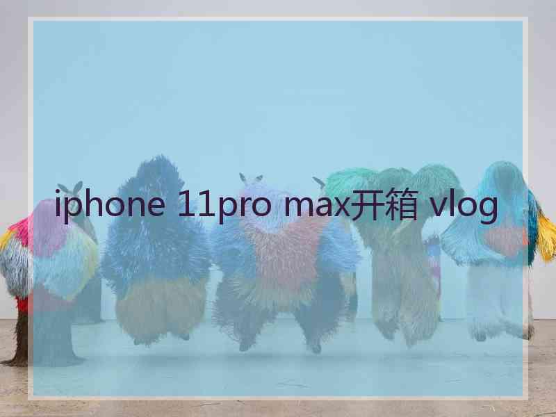 iphone 11pro max开箱 vlog