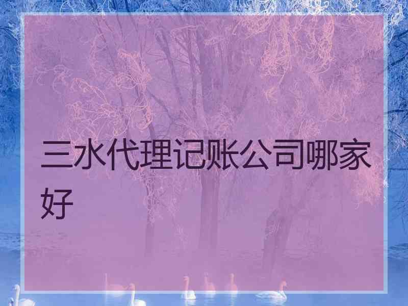 三水代理记账公司哪家好