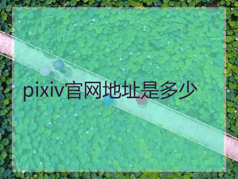 pixiv官网地址是多少