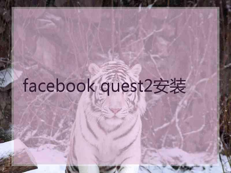 facebook quest2安装