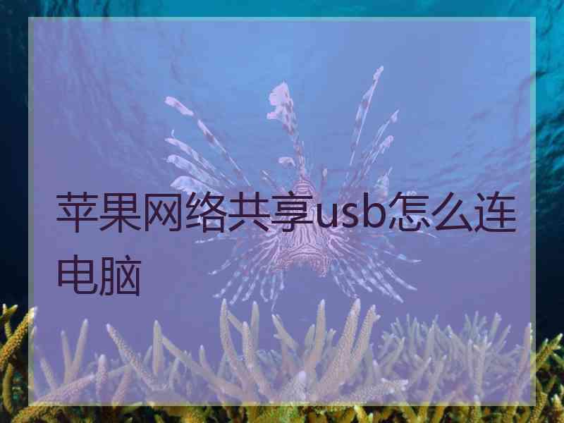 苹果网络共享usb怎么连电脑