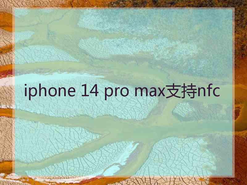 iphone 14 pro max支持nfc