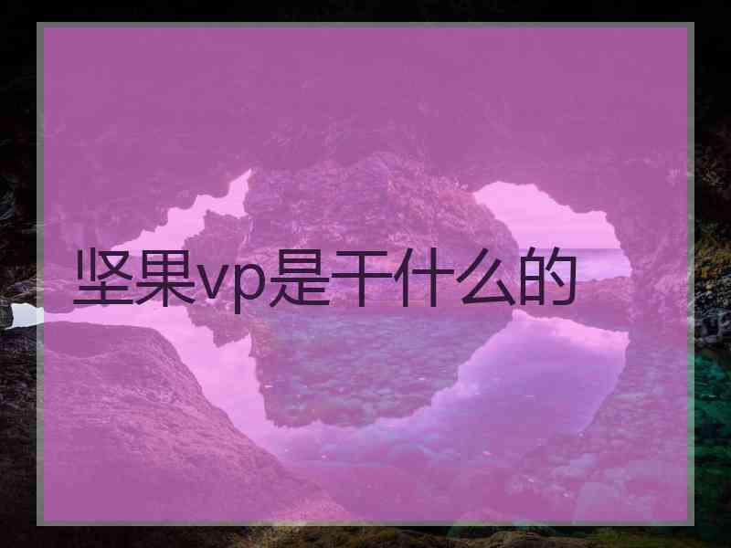 坚果vp是干什么的