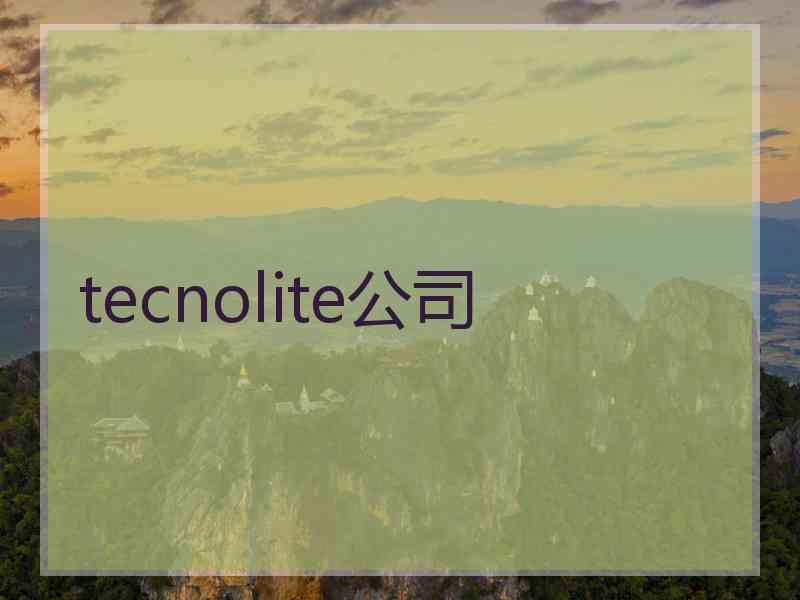 tecnolite公司