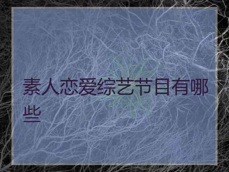 素人恋爱综艺节目有哪些