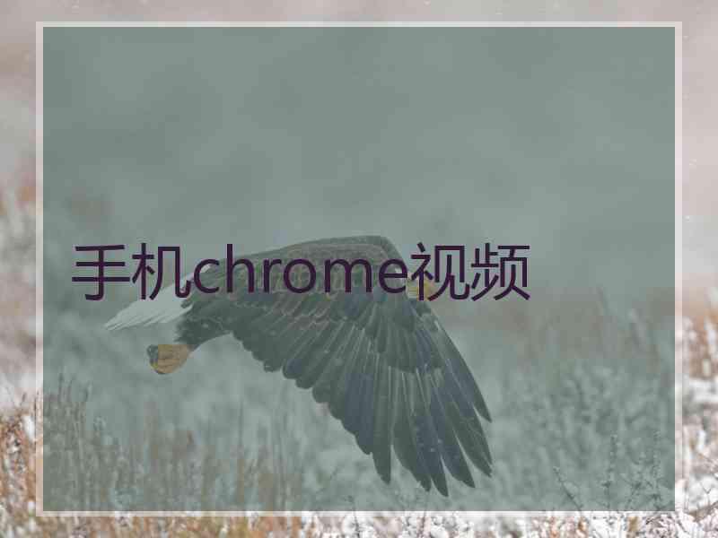 手机chrome视频