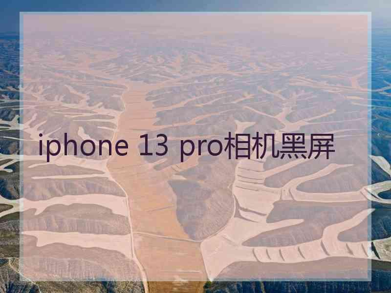 iphone 13 pro相机黑屏