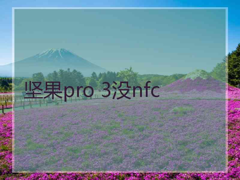 坚果pro 3没nfc