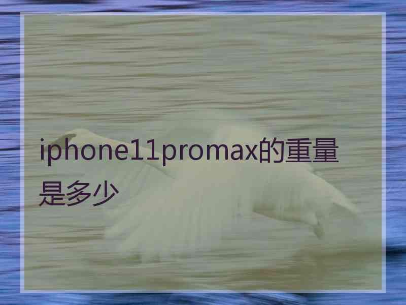 iphone11promax的重量是多少