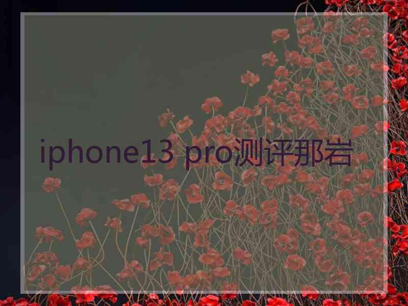 iphone13 pro测评那岩