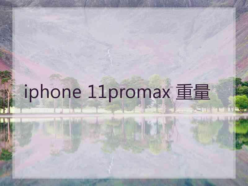 iphone 11promax 重量