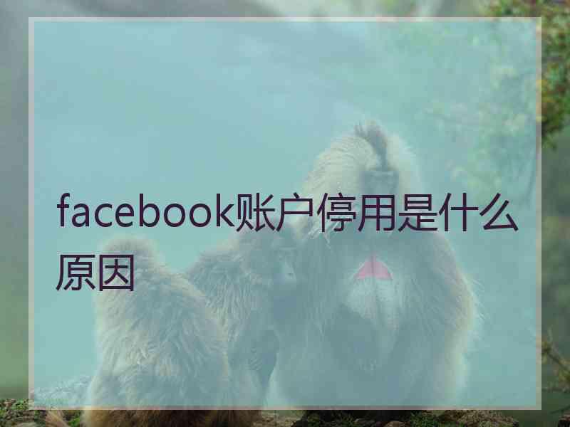 facebook账户停用是什么原因