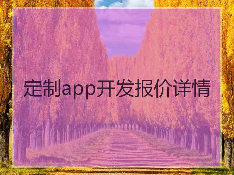 定制app开发报价详情