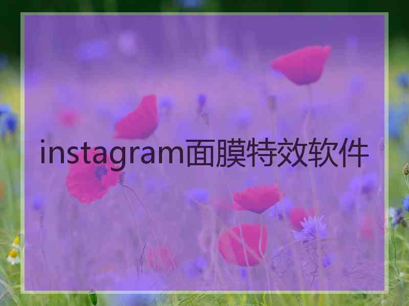 instagram面膜特效软件