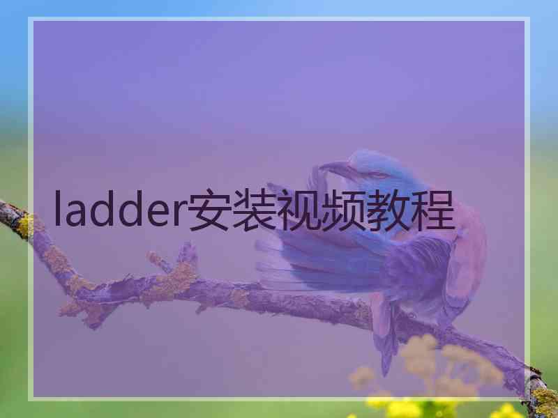 ladder安装视频教程