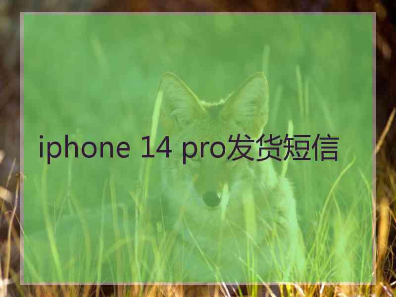 iphone 14 pro发货短信