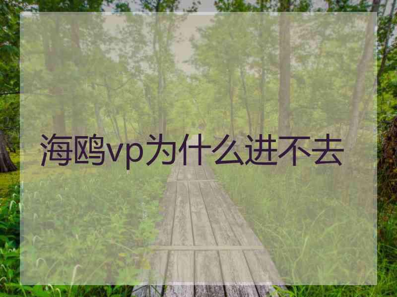 海鸥vp为什么进不去