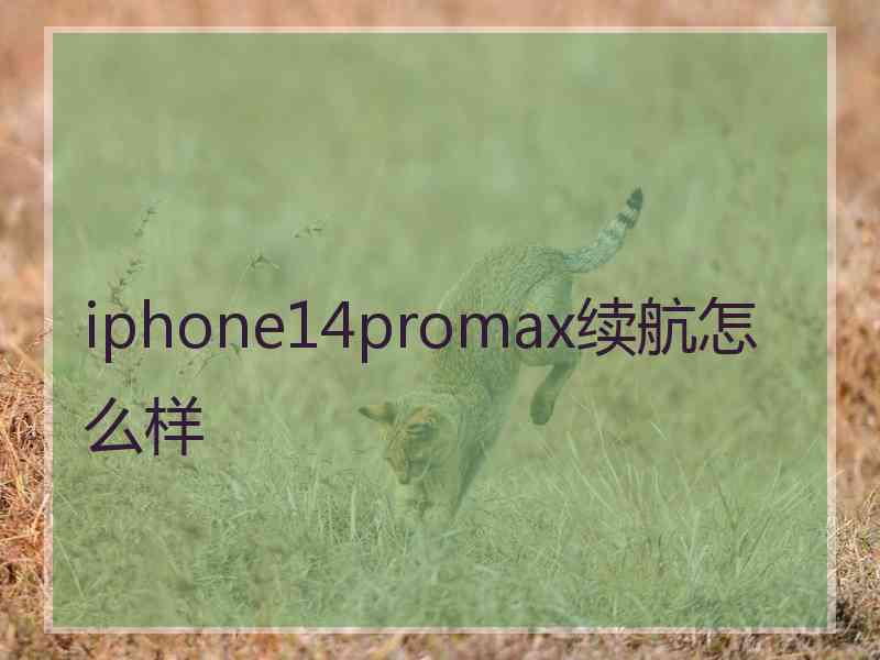 iphone14promax续航怎么样