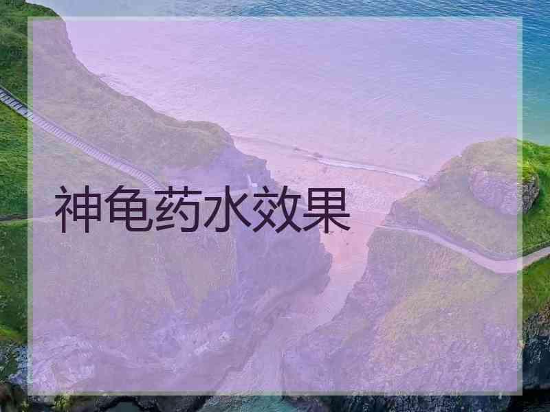 神龟药水效果