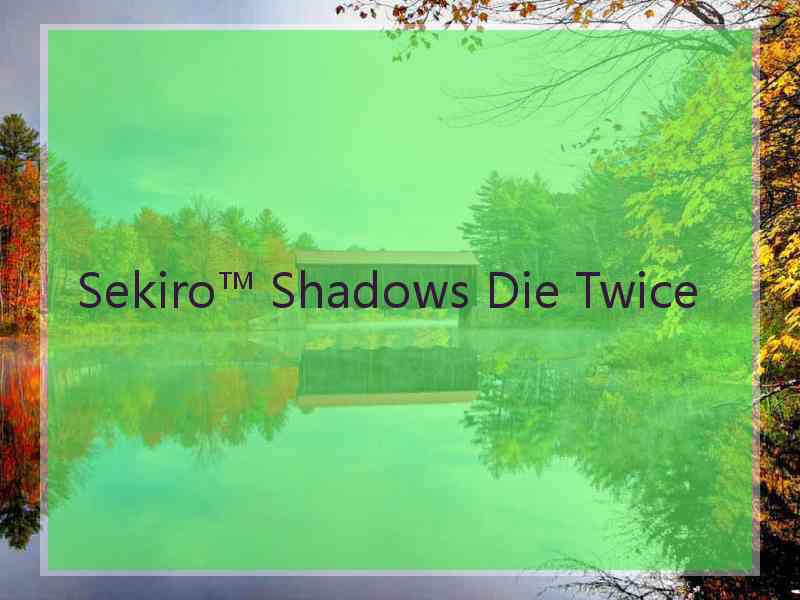 Sekiro™ Shadows Die Twice