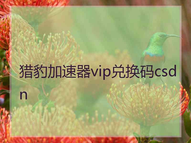 猎豹加速器vip兑换码csdn