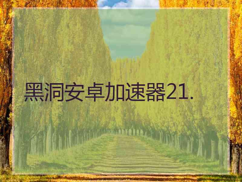 黑洞安卓加速器21.