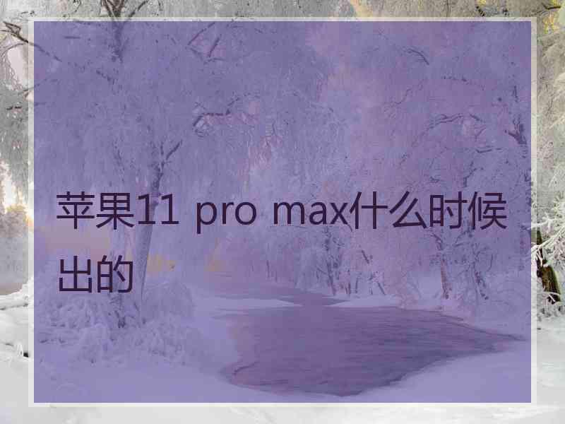 苹果11 pro max什么时候出的