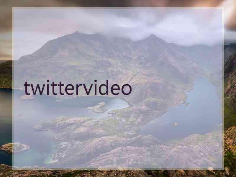 twittervideo