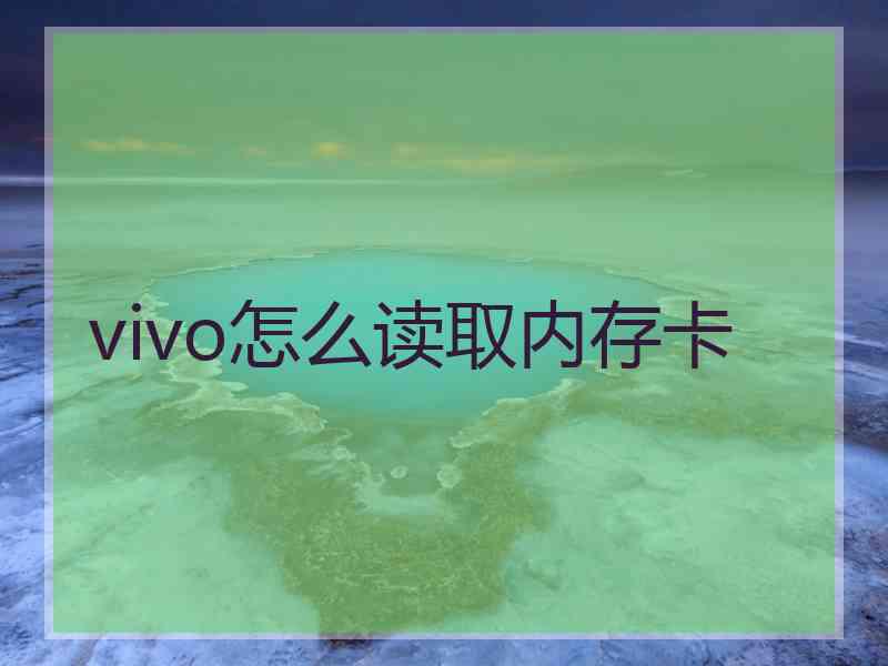 vivo怎么读取内存卡