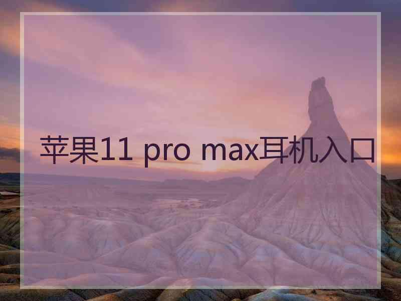 苹果11 pro max耳机入口