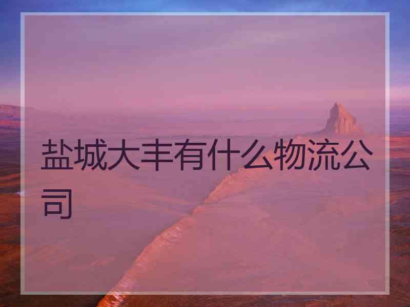 盐城大丰有什么物流公司